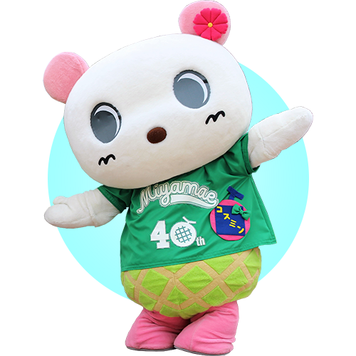 宮前兄妹コスミン