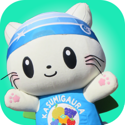 かすみがうにゃ