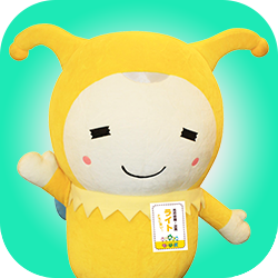 モーリーズ ライト