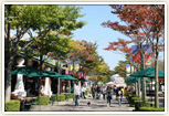 那須ハイランドパーク内の紅葉の様子