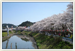 菟田野夢街道