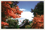 座敷屋公園