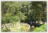 黒川清流公園 植物が育つには冷たすぎる水だから黒川なんだって