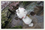 脇田温泉♪