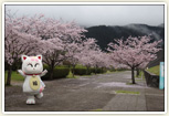 運動公園♪