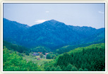 毛無山