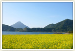 池田湖