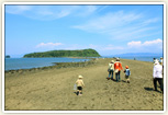 知林ヶ島