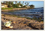 Diamond head beach