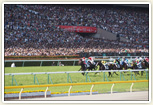 東京競馬場