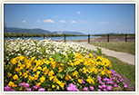 淀川河川公園