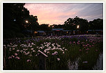 山田池公園
