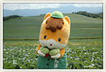 尾瀬