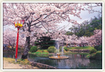小城公園