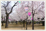 芦城公園