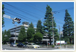 相模原市役所