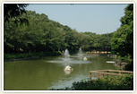 貝柄山公園の噴水