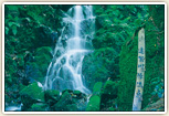 遠賀川源流