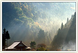 ふるさと黒滝村