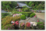 花の寺・船宿寺(五百家)