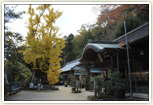 一言主神の総本社・葛城一言主神社(森脇)