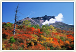 姥ケ平の紅葉