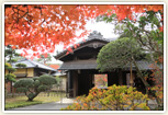 旧堀田邸の紅葉
