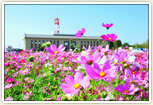 花の公園 フローラルガーデンよさみ♪