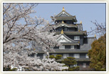岡山城