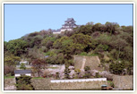 和歌山城(桜の名所としても有名です。)