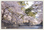 夙川公園