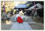みっけ交野天神社 みっけの住んでる神社で、商店会はこの神社の参道沿いになりますにゃん。