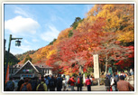 紅葉の時期(清滝駅前)