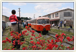 南部縦貫鉄道 レールバス