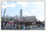 隣接する東山動植物園