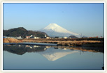 狩野川と富士山
