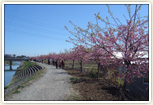 すみよし桜の里
