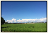 田園風景