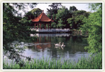 新緑の緑ヶ丘公園