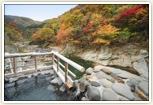 豊富な温泉