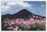 三上山