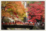 箕面大滝