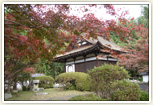 紅葉の芦浦観音寺