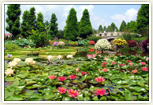 水生植物公園みずの森