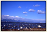 冬のびわ湖岸(水鳥達の休息地)
