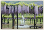 大町藤公園