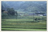 農村