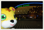 東京ドーム