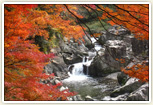 大滝神社 「大蛇の淵」紅葉