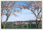 【魅力いっぱいのときわ公園】ときわ湖を中心に189ヘクタールにわたって広がるときわ公園は、花、植物、彫刻、動物、遊園地など、さまざまな魅力がつまった総合公園です。